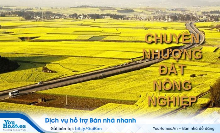 Giấy chuyển nhượng đất nông nghiệp viết tay có hiệu lực khi đáp ứng đầy đủ những điều kiện theo quy định của pháp luật.