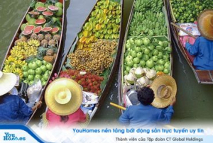 4 tỉnh đồng bằng sông Cửu Long liên kết phát triển du lịch