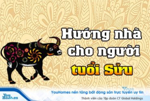 Xem hướng nhà phù hợp cho tuổi Sửu mới nhất