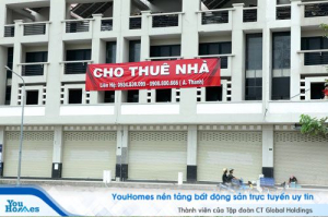 Lần đầu cho thuê nhà nên đọc bài viết này kẻo 'tiền mất tật mang’