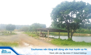 Hà Nội: Không thiếu các dự án “ma”