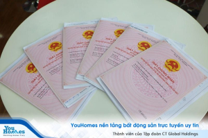 Liệu có thể thêm tên cháu ruột vào sổ hồng không? 