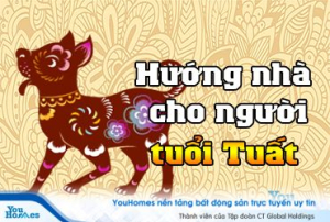 Xem hướng nhà cho người tuổi Tuất giúp hút tài lộc may mắn