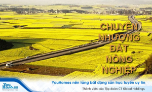 Quy định về chuyển nhượng đất nông nghiệp