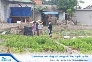 Bộ Xây dựng kiến nghị tăng thuế nơi có sốt đất