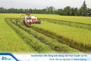 Đất nông nghiệp : Làm sao để xây dựng nhà?