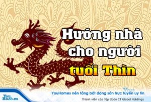 Xem hướng nhà cho người tuổi Thìn mới nhất 2019