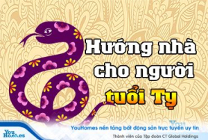 Xem hướng nhà tốt cho người tuổi Tỵ 