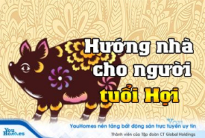 Xem hướng nhà cho người tuổi Hợi đầy đủ nhất