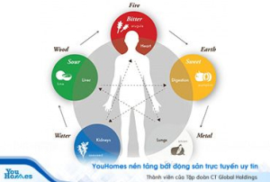 Tầm quan trọng của việc lựa chọn màu sắc phong thủy hợp mệnh