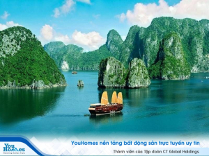 4 cực phát triển trong tương lai của BĐS Hạ Long