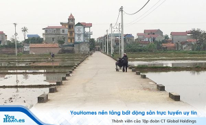 Qua 2 thế hệ dòng họ ròng rã nhưng vẫn chưa đòi lại được đất ao của gia đình 