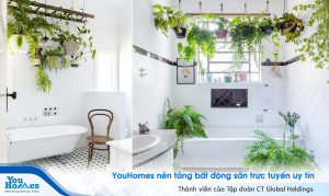 Ý tưởng trang trí độc đáo tạo điểm nhấn cho phòng tắm