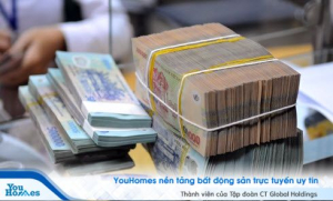 Xách bao tải tiền lên và đi mua đất là rất rủi ro