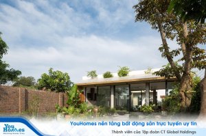 Thư giãn với ngôi nhà ngập tràn cây xanh ngoại thành Hà Nội