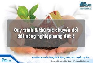 Quy trình & thủ tục chuyển đổi đất nông nghiệp sang đất ở