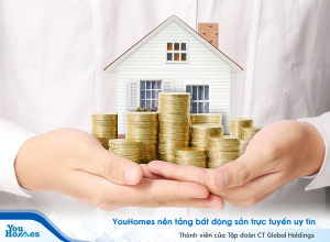 Nên mua đất vào những thời điểm nào để sinh lời?