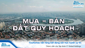 Năm 2020, đất quy hoạch có được phép mua bán không?