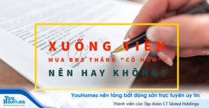 Xuống tiền mua bất động sản tháng 