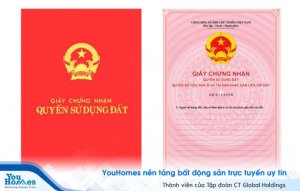 Sự khác biệt giữa sổ đỏ và sổ hồng