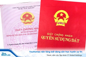 Hướng dẫn tra cứu số thửa đất, số tờ và thông tin quy hoạch đất đai trên sổ đỏ, sổ hồng