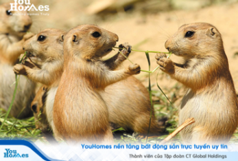 Kế hoạch tổ chức hoạt động thiện nguyện tại Bệnh Viện Nhi TW