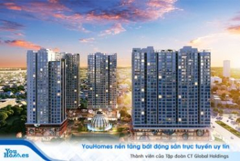 Chuyên gia phong thủy 'phán' bất ngờ về thị trường bất động sản năm 2019