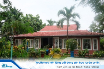 Cùng ngắm nhìn nhà vườn hơn 3.000m2 của Nguyễn Phi Hùng