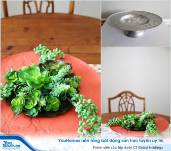 Gợi ý trang trí khu vườn sen đá đầy màu sắc cho không gian nhỏ