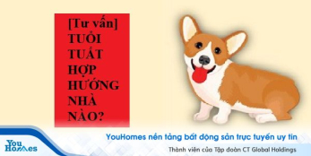 [Tư vấn] Tuổi Tuất hợp hướng nhà nào?