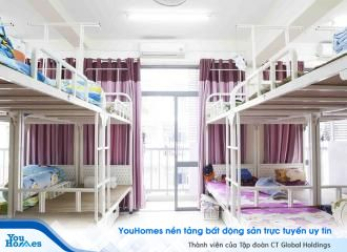 Căn hộ chung cư thành ký túc xá, hộp ngủ