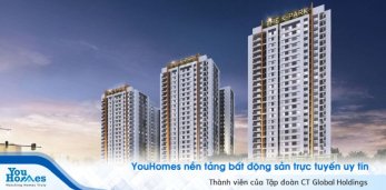 Những rủi ro bạn nên biết khi đầu tư căn hộ chung cư