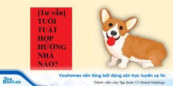 [Tư vấn] Tuổi Tuất hợp hướng nhà nào?