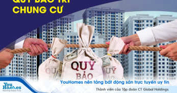 Chỉ thị mới về quỹ bảo trì: Chuyển ngay công an khi có dấu hiệu tội phạm