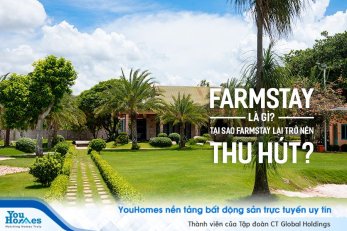 9X Hà Nội “bỏ phố về rừng”, đầu tư farmstay và nhận cái kết đắng, chuyên gia chỉ ra những sai lầm khiến nhà đầu tư 'chết' vốn