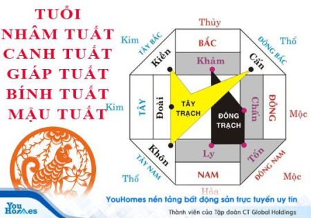 HƯỚNG BAN CÔNG TỐT NHẤT CHO TUỔI CANH TUẤT 1970 LÀ NAM BẮC ĐÔNG NAM VÀ ĐÔNG
