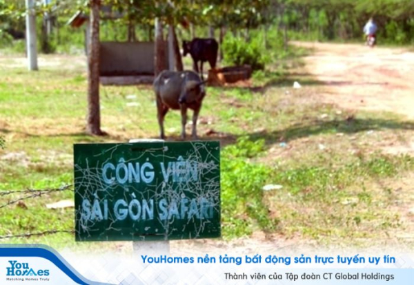 Dự án Thảo Cầm Viên Sài Gòn: Không bố trí chức năng ở, nghỉ dưỡng trong dự án