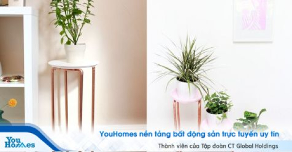 Sáng tạo không gian nội thất với các đoạn ống đồng