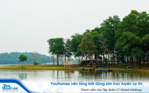 Hà Nội: Dự án đang triển khai ven hồ Đồng Mô phải thanh tra toàn diện