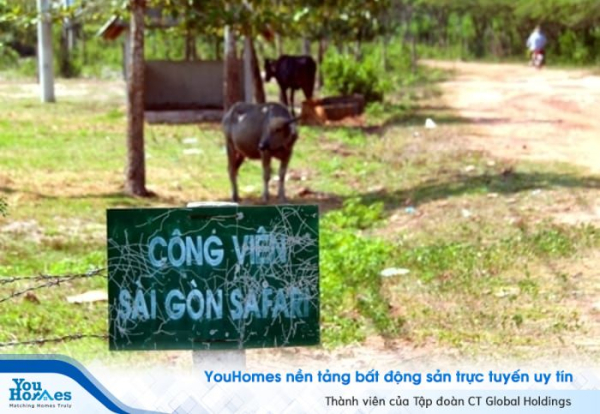  Dự án Thảo Cầm Viên Sài Gòn: Không bố trí chức năng ở, nghỉ dưỡng trong dự án