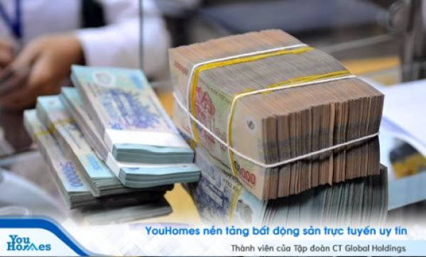 Xách bao tải tiền lên và đi mua đất là rất rủi ro