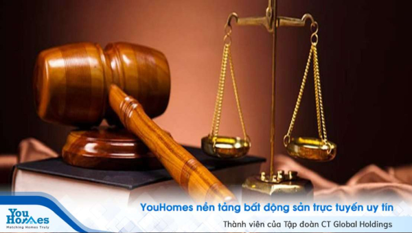 Hoàn thiện dự thảo Nghị định xử phạt vi phạm hành chính trong lĩnh vực đất đai