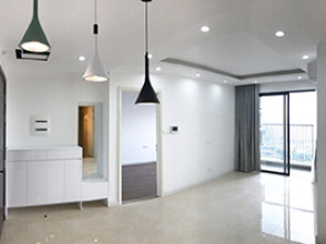 Vinhomes D’.Capitale / Vinhomes Dcapitale