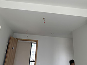 Chung cư Emerald Precinct - Khu đô thị Celadon City