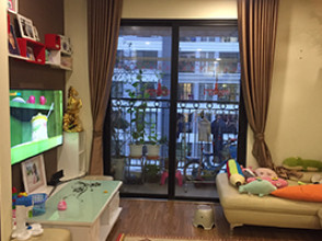 Times City - Park Hill