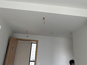 Chung cư Emerald Precinct - Khu đô thị Celadon City