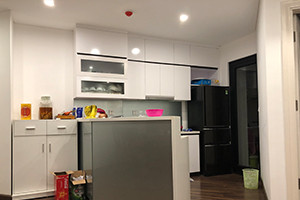 Eco City Việt Hưng