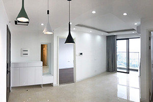 Vinhomes D’.Capitale / Vinhomes Dcapitale