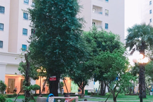 Khu căn hộ Tecco Town (Everville)