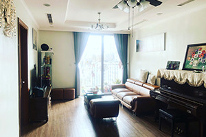 Times City - Park Hill